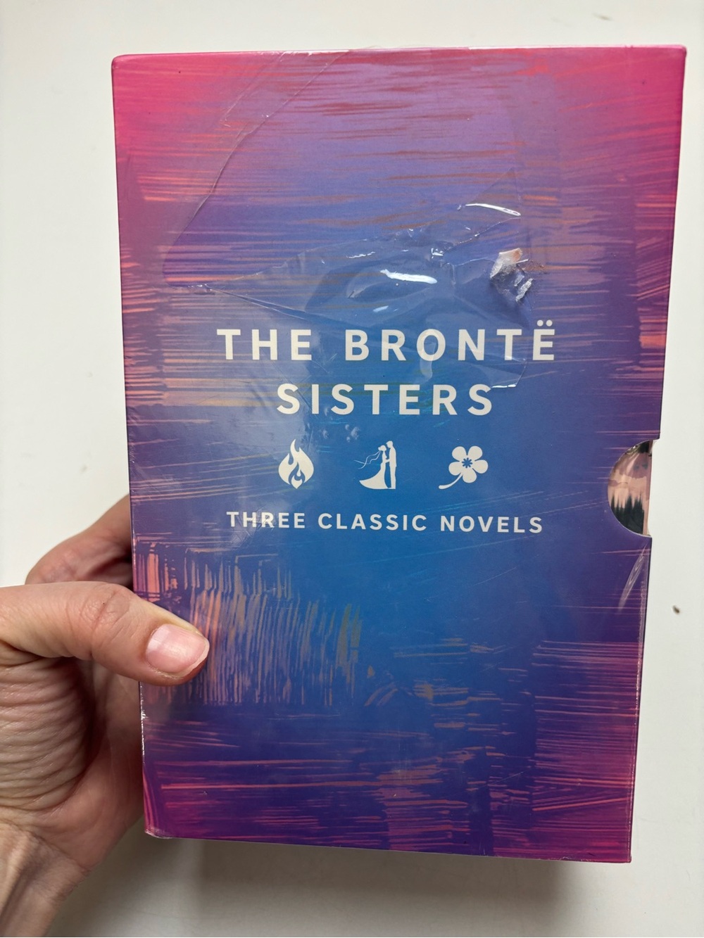 The Bronte Sisters hardcover Boxed‎ Set Jane Eyre, Wuthering Heights, Agnes